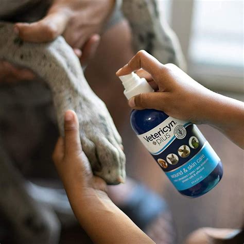 5 Dog Wound Care Tips 5 Dog Wound Care Tips