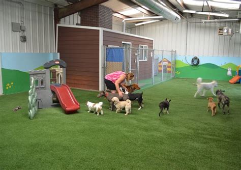 Doggie Daycare Allbrick Vet Clinic Doggie Daycare Allbrick Vet Clinic