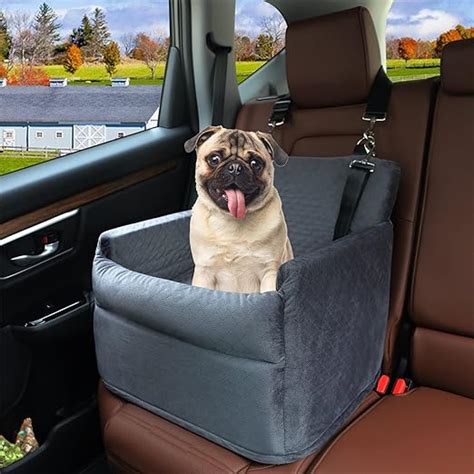 5 Tips Elevated Dog Seats
