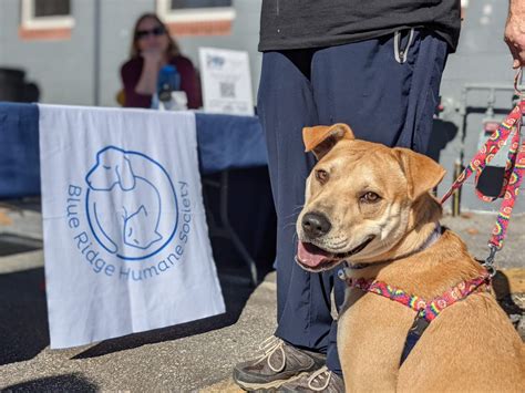 Emergency Preparedness Blue Ridge Humane Society Hendersonville