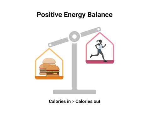 Energy In And Out