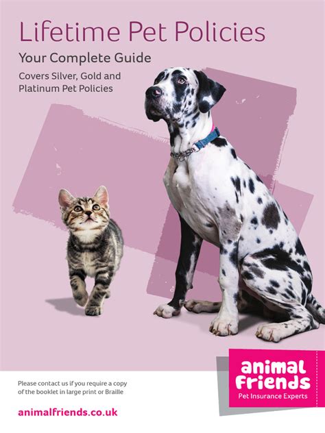 Enterprise Car Pet Policy Rules