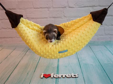 Ferret Hammock Small Pet Supplies Ferret Supplies Pet Etsy
