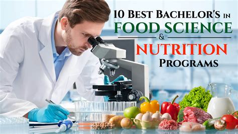Food Nutrition Degree