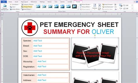 Free Pet Information Sheet Printables Dalmatian Diy