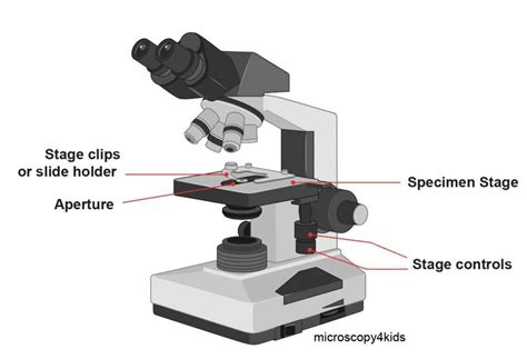 5 Ways Microscope Stage Functions 5 Ways Microscope Stage Functions