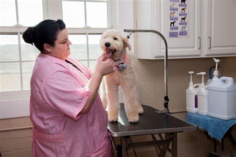 5 Tips Hawthorne Park Animal Care