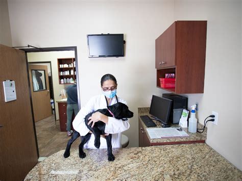 5 Star Animal Hospital Reviews