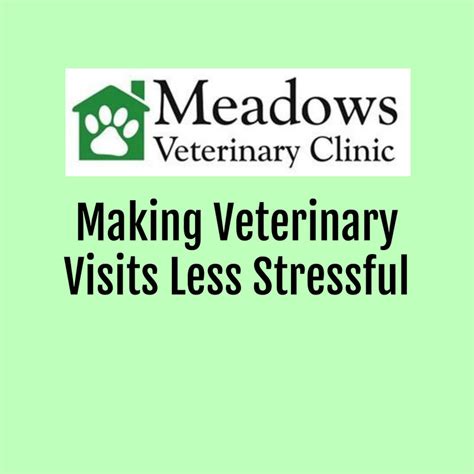 Helpful Pet Care Information Meadows Veterinary Clinic Of East Peoria Helpful Pet Care Information Meadows Veterinary Clinic Of East Peoria