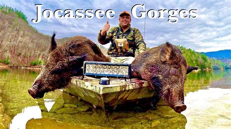 Hog Hunting South Carolina Youtube Hog Hunting South Carolina Youtube