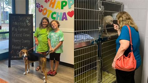5 Ways Horry County Animal Care Helps Pets
