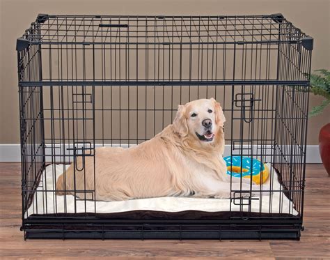 How Big Should Dog Crate Be For Dalmatian How Big Should Dog Crate Be For Dalmatian
