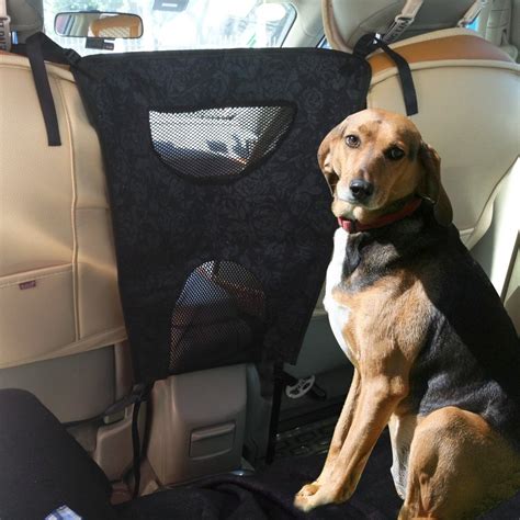 How To Secure Dog In Back Of Suv At Adam Ross Blog How To Secure Dog In Back Of Suv At Adam Ross Blog