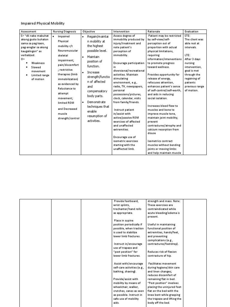 Impaired Mobility Care Plan Guide