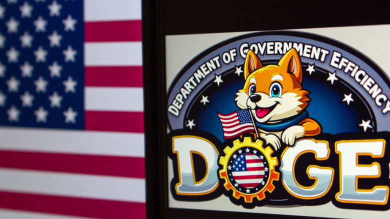 Is Doge Sending Out Stimulus Checks