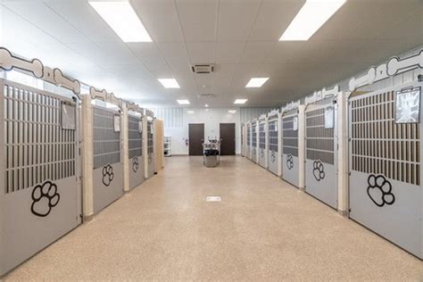 Lake Hills Veterinary Clinic Missouri Gator Kennels Lake Hills Veterinary Clinic Missouri Gator Kennels