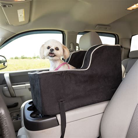 5 Best Dog Car Seats 5 Best Dog Car Seats