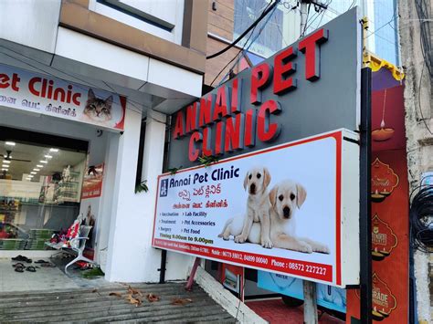 Life Care Pet Hospital Services