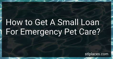 Pet Emergency Loans For Urgent Care
