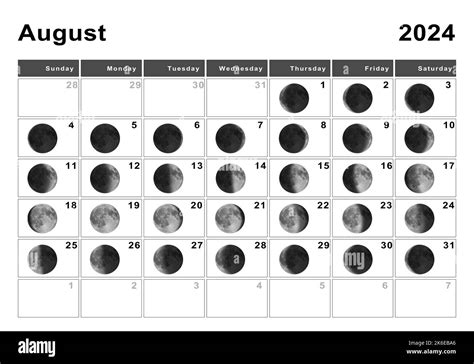 Moon Cycle August 2024