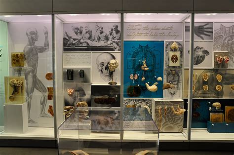National Museum of Health and Medicine Exhibits