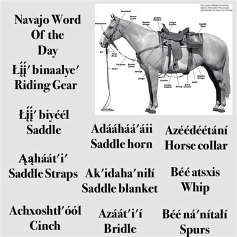 Navajo Word For Horse Navajo Word For Horse