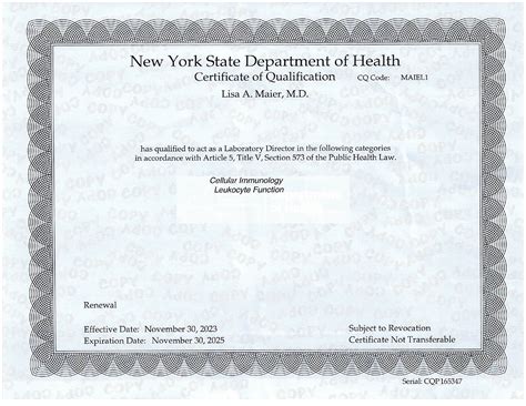Nys Medical License Lookup