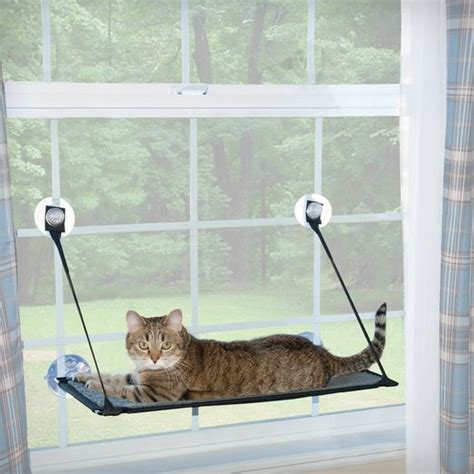 Our Pet Expert Shares The Best Cat Window Perch Options 2024 Our Pet Expert Shares The Best Cat Window Perch Options 2024