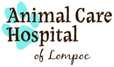 Our Team Animal Care Hospital Of Lompoc Our Team Animal Care Hospital Of Lompoc