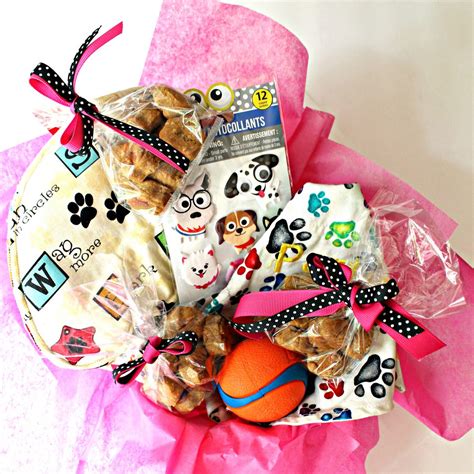 Paw Prints Dog Care Package The Monday Box Paw Prints Dog Care Package The Monday Box