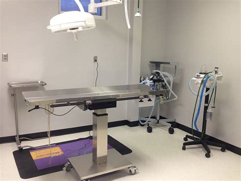 Pet Care Center Photo Gallery Montgomery Al Pet Care Center Photo Gallery Montgomery Al