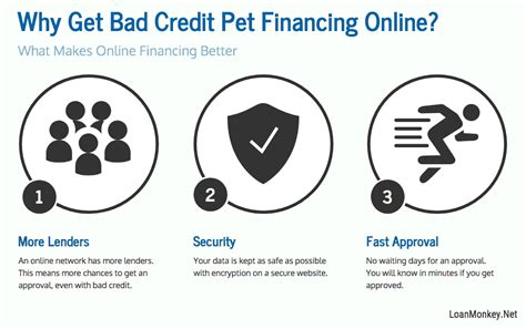 5 Ways Pet Care Financing