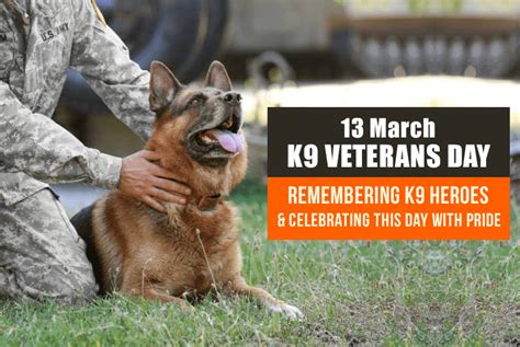 Pet Care Services for Veterans