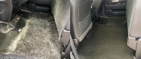5 Tips Pet Hair Car Detailing