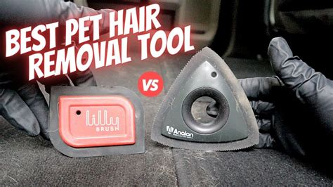 Remove Pet Hair From Car Remove Pet Hair From Car