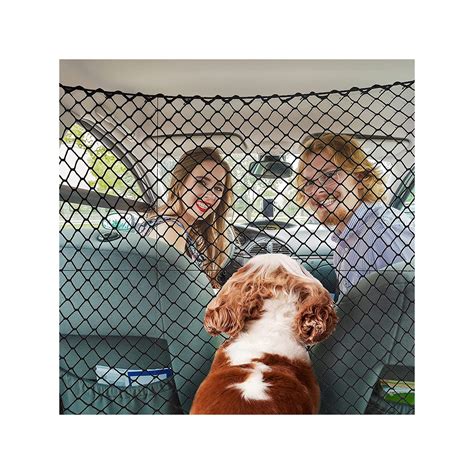 Pet Net for Car Safety