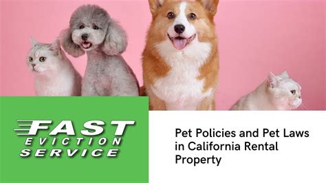 Pet Policies And Pet Laws In California Rental Property Youtube Pet Policies And Pet Laws In California Rental Property Youtube
