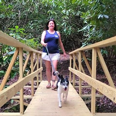 Pet Sitters Dog Walkers Dog Trainer Auntie M Pet Care Pet Sitters Dog Walkers Dog Trainer Auntie M Pet Care