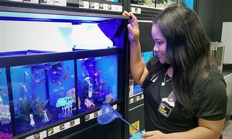 Pet Supermarket Careers Available