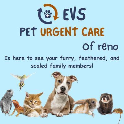 Reno Pet Urgent Care Services