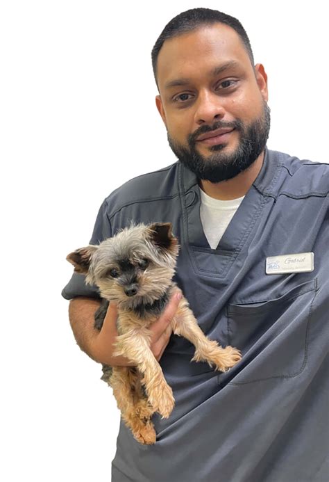 Wesley Chapel Pet Urgent Care