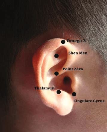 Point Zero Ear Acupuncture Point Zero Ear Acupuncture
