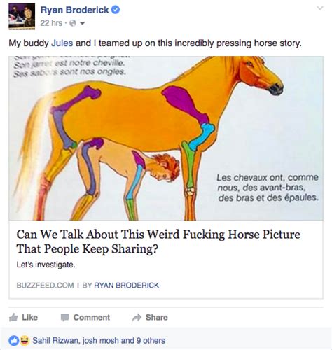 Porn On A Horse