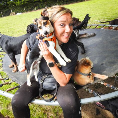 Rachel S Doggy Lodge Dog Day Care Boarding Services In Braintree Essex Rachel S Doggy Lodge Dog Day Care Boarding Services In Braintree Essex