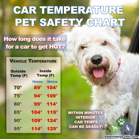 5 Safe Temps