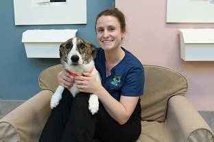 Small Animal Clinic Ovc Hsc Ashlyn Jay Small Animal Clinic Ovc Hsc Ashlyn Jay