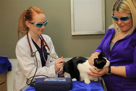 Small Animal Veterinary Care In Lindon Orem Ut A Caring Vet And Small Animal Veterinary Care In Lindon Orem Ut A Caring Vet And