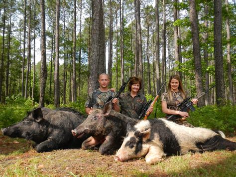 South Carolina Hog Hunting South Carolina Hog Hunting