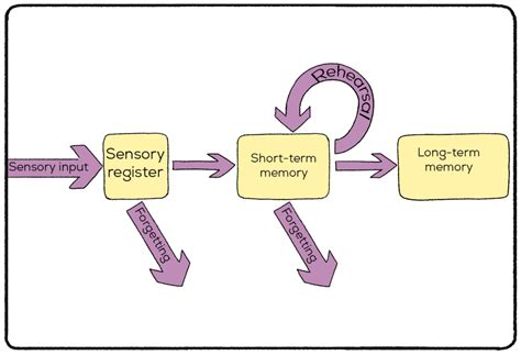Spacing Effect Psychology Definition