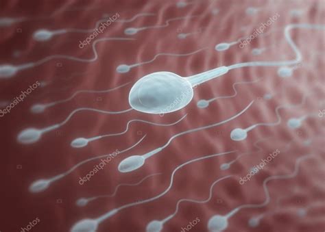 Sperms Indo Para O Vulo Fotografias De Stock Ktsdesign 63115895 Sperms Indo Para O Vulo Fotografias De Stock Ktsdesign 63115895